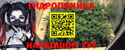 a pvp Рыбинск