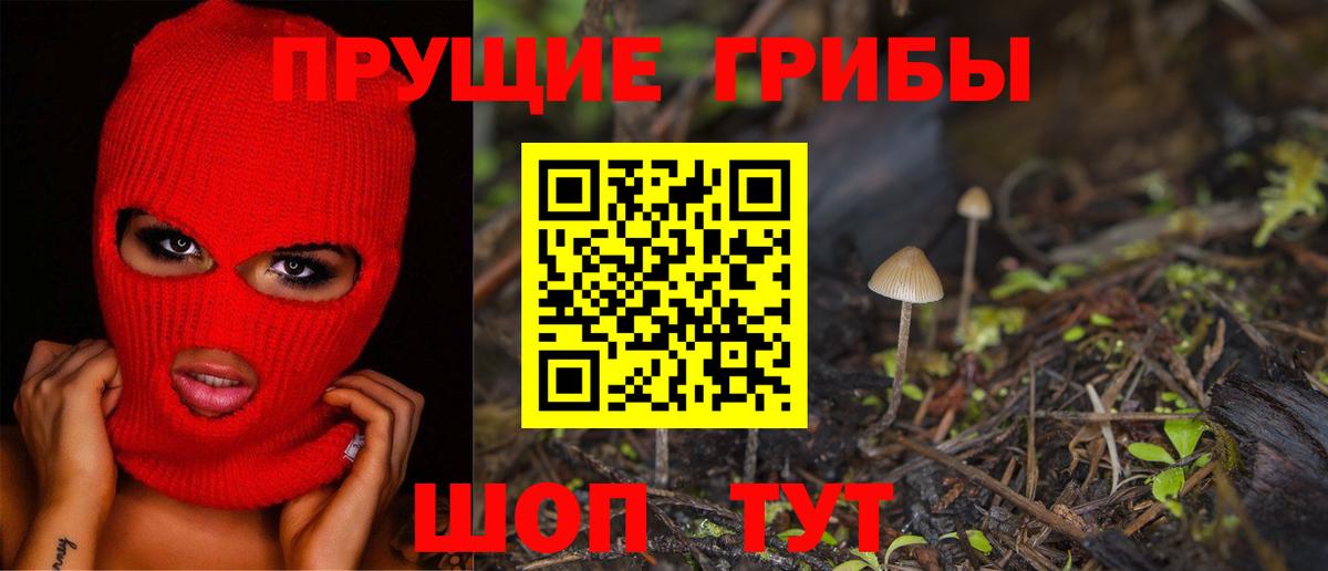 Псилоцибиновые грибы Magic Shrooms Торжок